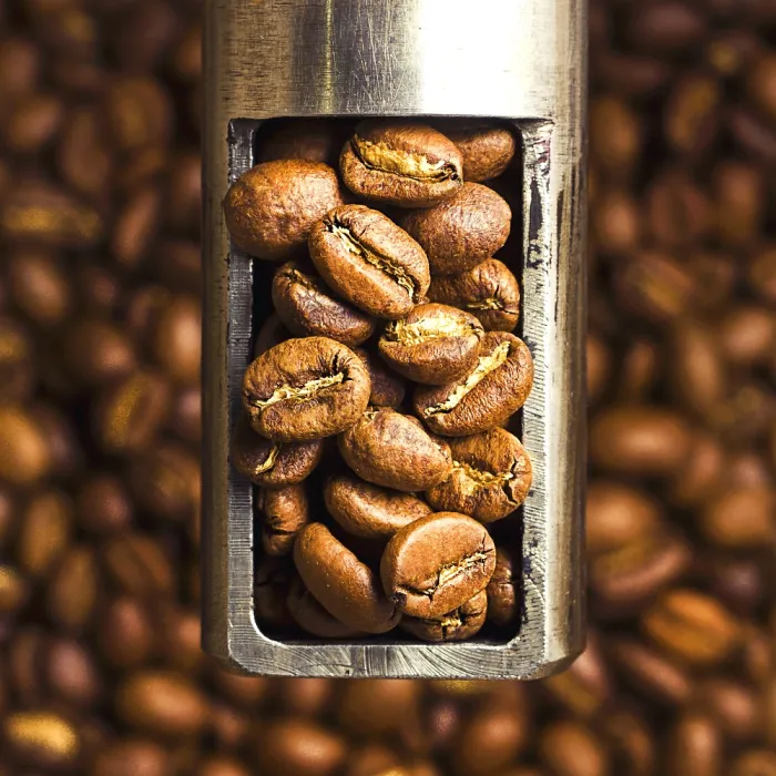 PIXEL Ethiopia Sidamo Ayla Bensa Anaerobic Washed 200