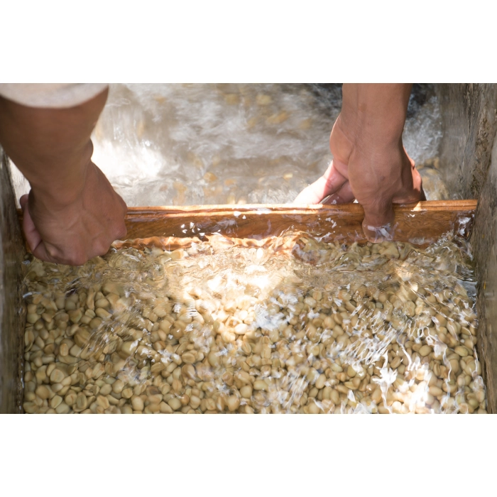 PIXEL Guatemala La Maravilla Mescal Bajo Washed waga 250