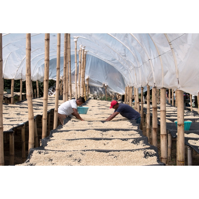 PIXEL Guatemala La Maravilla Mescal Bajo Washed waga 250