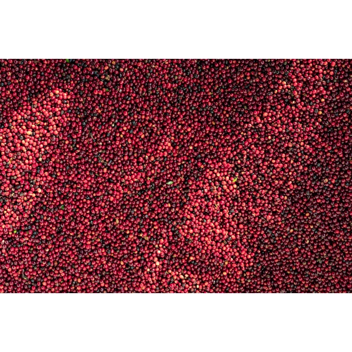 PIXEL Guatemala La Maravilla Mescal Bajo Washed waga 250