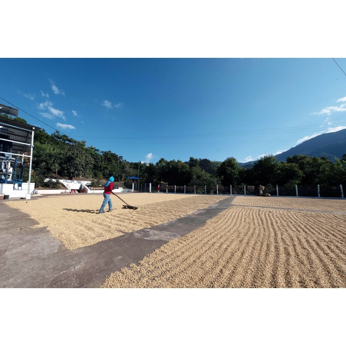 PIXEL Guatemala La Maravilla Mescal Bajo Washed waga 250