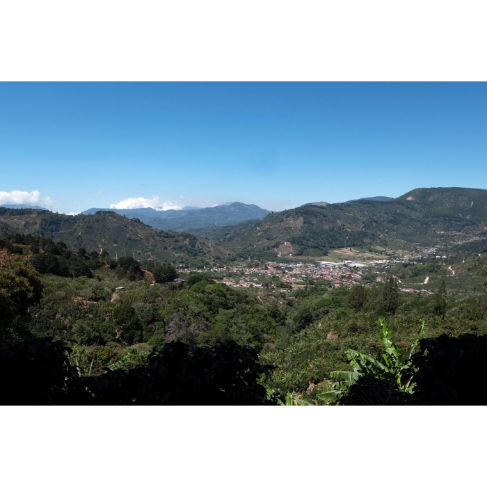 PIXEL Costa Rica Tarrazu Las Nubes Red Honey waga 250