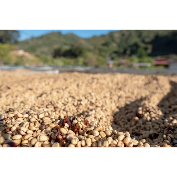 PIXEL Costa Rica Tarrazu Las Nubes Red Honey 250
