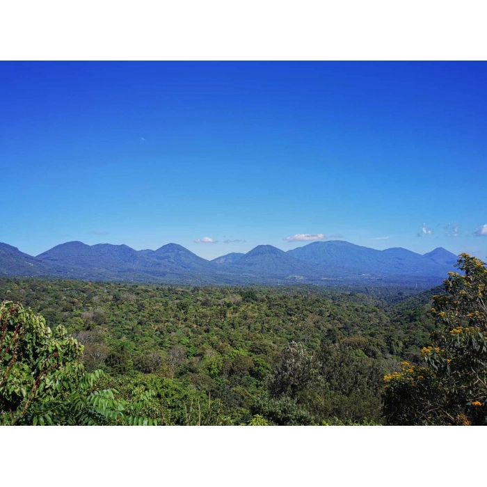 PIXEL Salvador Ahuacapan San Antonio Honey waga 250