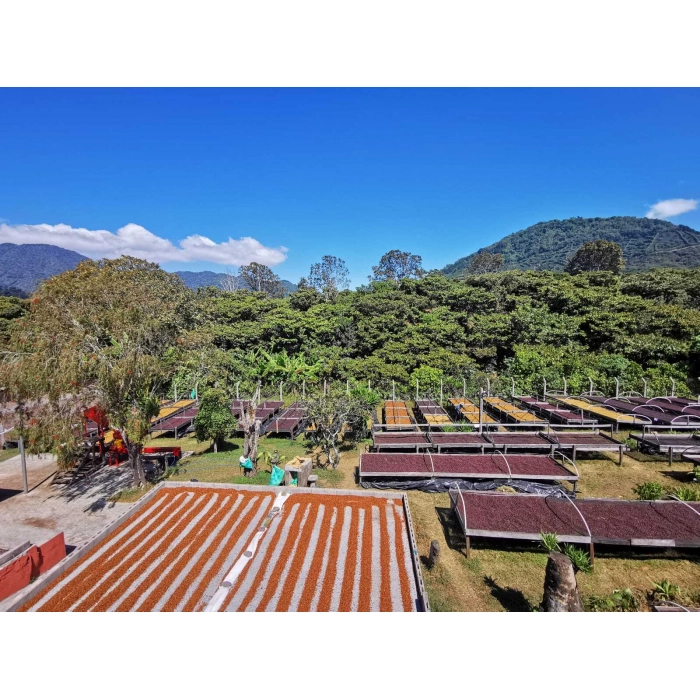 PIXEL Salvador Ahuacapan San Antonio Honey waga 250