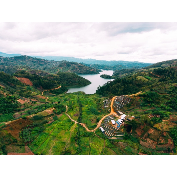 PIXEL Rwanda Nyamasheke Kilimbi Washing Station Honey kawa ziarnista waga 250